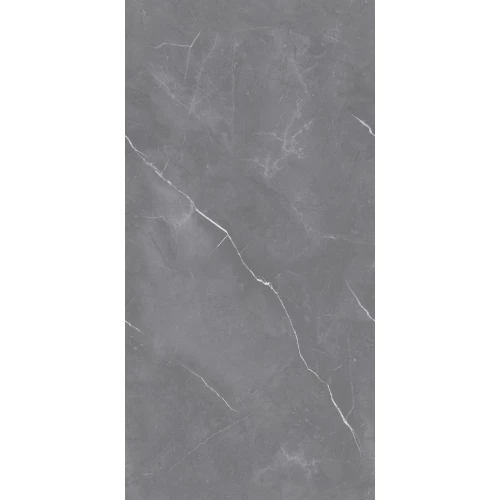 Керамогранит Seratonia Glossy Arami Grey тёмно-серый 120х60 см