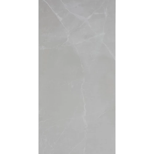 Керамогранит RAK Ceramics Amani Marble Light Grey Polished глянцевый светло-серый AN12GZAMM-LGY.G0P 120х60 см