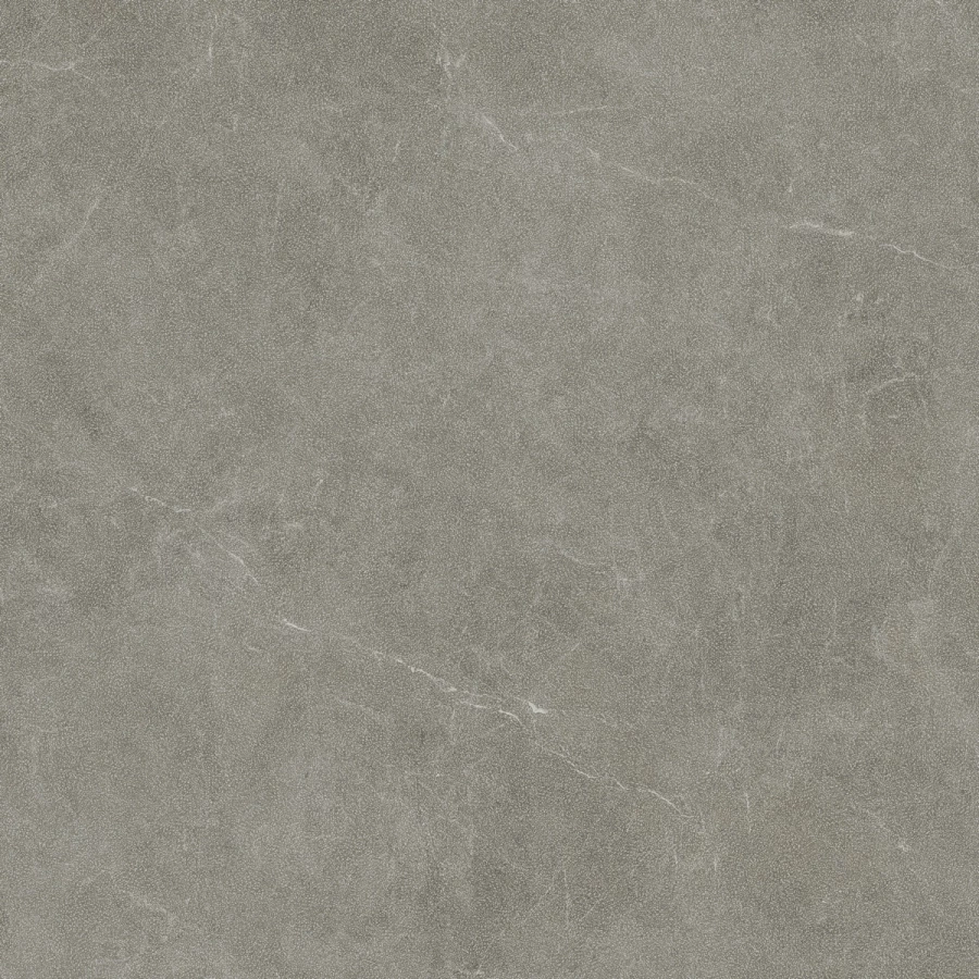 Керамогранит Living Ceramics Vonn Greige Anti-Slip матовый серый LV11002 120x120 см