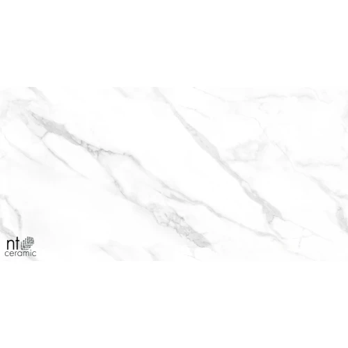 Керамогранит NT Ceramic Marmo Statuario Endless Полированный NTT99506P 120х60 см