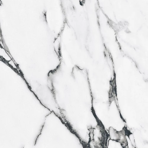 Керамогранит Primavera Fantasy Black polished PR127 60х60 см