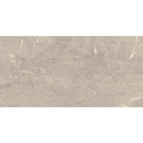 Плитка настенная Paradyz Afternoon Grys Rekt Polysk 59,8х29,8 см