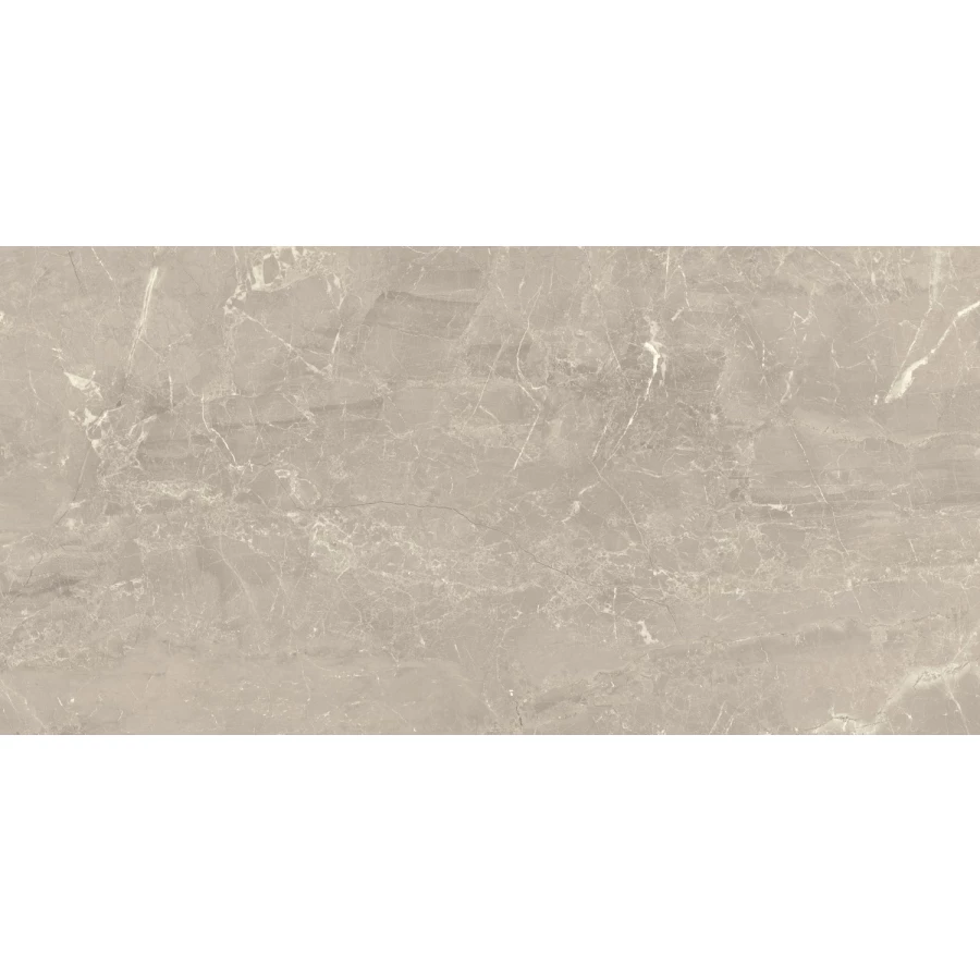 Плитка настенная Paradyz Afternoon Grys Rekt Polysk 59,8х29,8 см