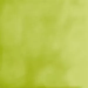 Плитка облицовочная Нефрит-Керамика Толедо салатный 00-00-1-14-11-81-019 20х20