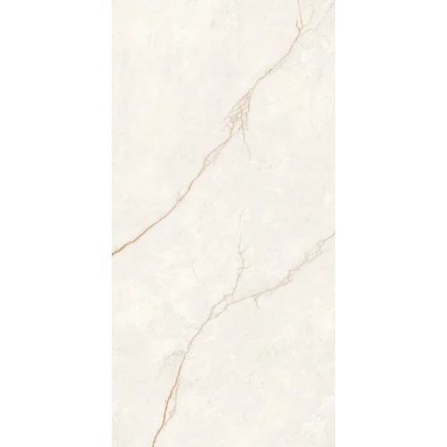 Керамогранит ProGRES Savage матовый бежевый PRO 0278M 120х60 см