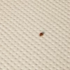 Керамогранит Mutina Писо Довн Натурал Бланс / Pico Down Natural Blanc матовый бежевый BOPDN21 60х60 см