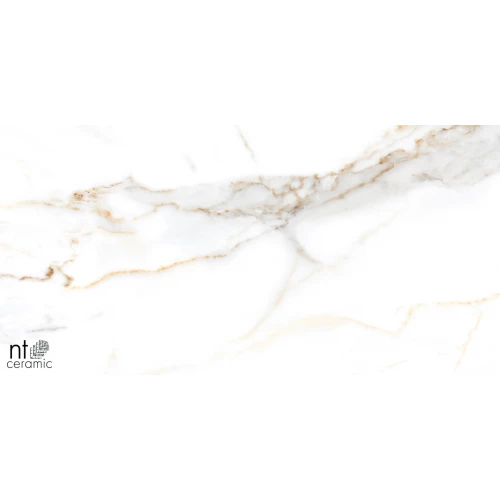 Керамогранит NT Ceramic Marmo Miami Natural Полированный NTT99500P 120х60 см