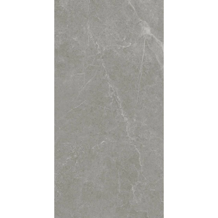 Керамогранит Realistik Ankara Semi Polished Matt серый JN12905F 120x60 см