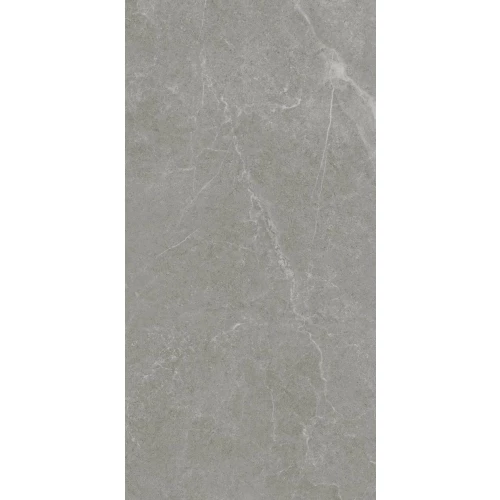 Керамогранит Realistik Ankara Semi Polished Matt серый JN12905F 120x60 см