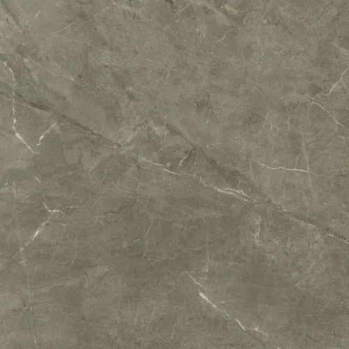 Керамогранит Living Ceramics Vonn Greige Honed глянцевый серый LV10998 120х120 см