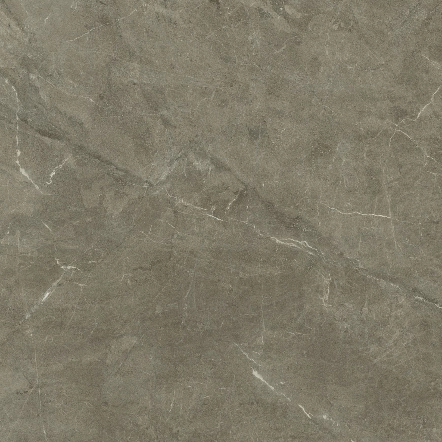 Керамогранит Living Ceramics Vonn Greige Honed глянцевый серый LV10998 120х120 см