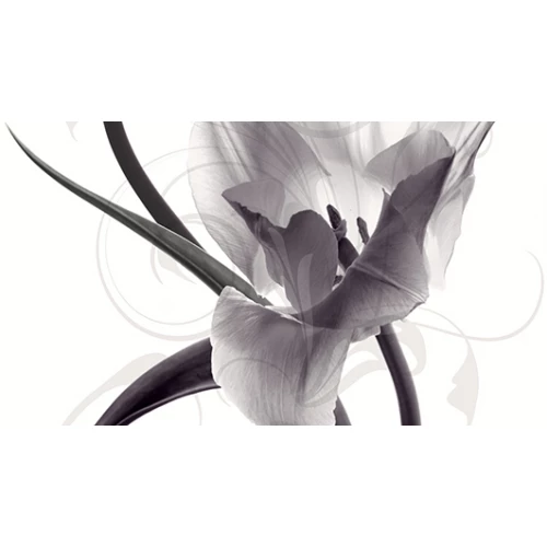 Панно Ceradim Dec Pulsar C КПН16PulsarC 25х45