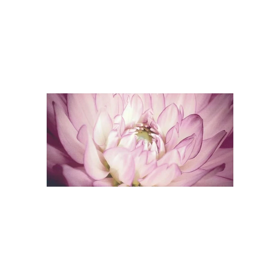 Декор Paradyz Sorenta mocca durst kwiaty В фиолетовый 30x60 см