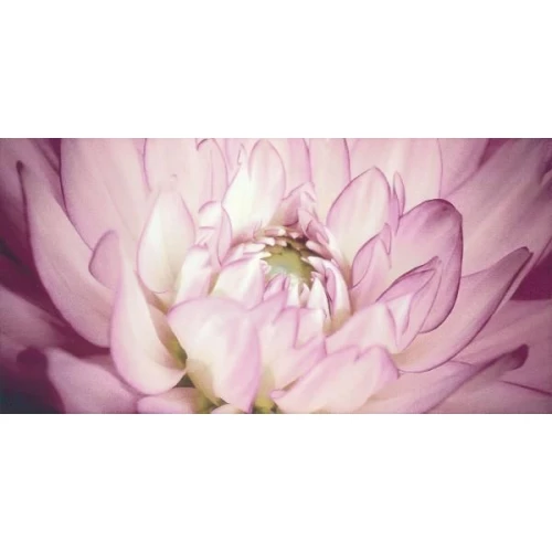 Декор Paradyz Sorenta mocca durst kwiaty В фиолетовый 30x60 см