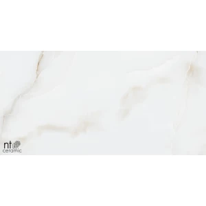 Керамогранит NT Ceramic Onyx Majestic Полированный NTT99503P 120х60 см