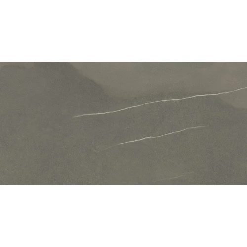 Керамогранит ProGRES Memphis матовый серый PRO 0246M 120х60 см