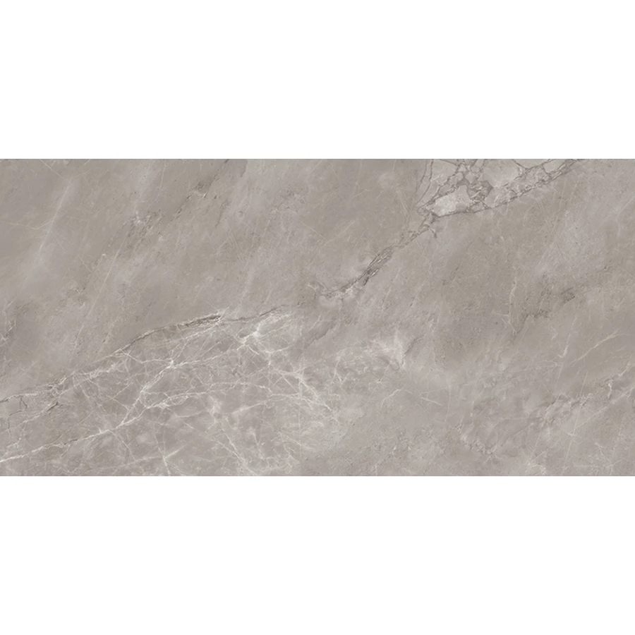 Керамогранит Neodom Stone Artistic Carving серый N20645 160х80 см