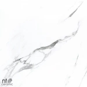 Керамогранит NT Ceramic Bright and Shiny NTT9100 Полированный BB6NTT9100P 60х60 см