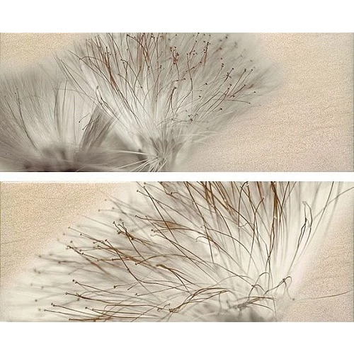 Декор Ape Ceramica Set Base Miel бежевый (компл. из 2-х шт.) 20х50 см