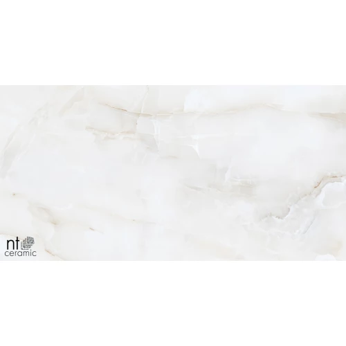 Керамогранит NT Ceramic Onyx Majestic Полированный NTT99503P 120х60 см