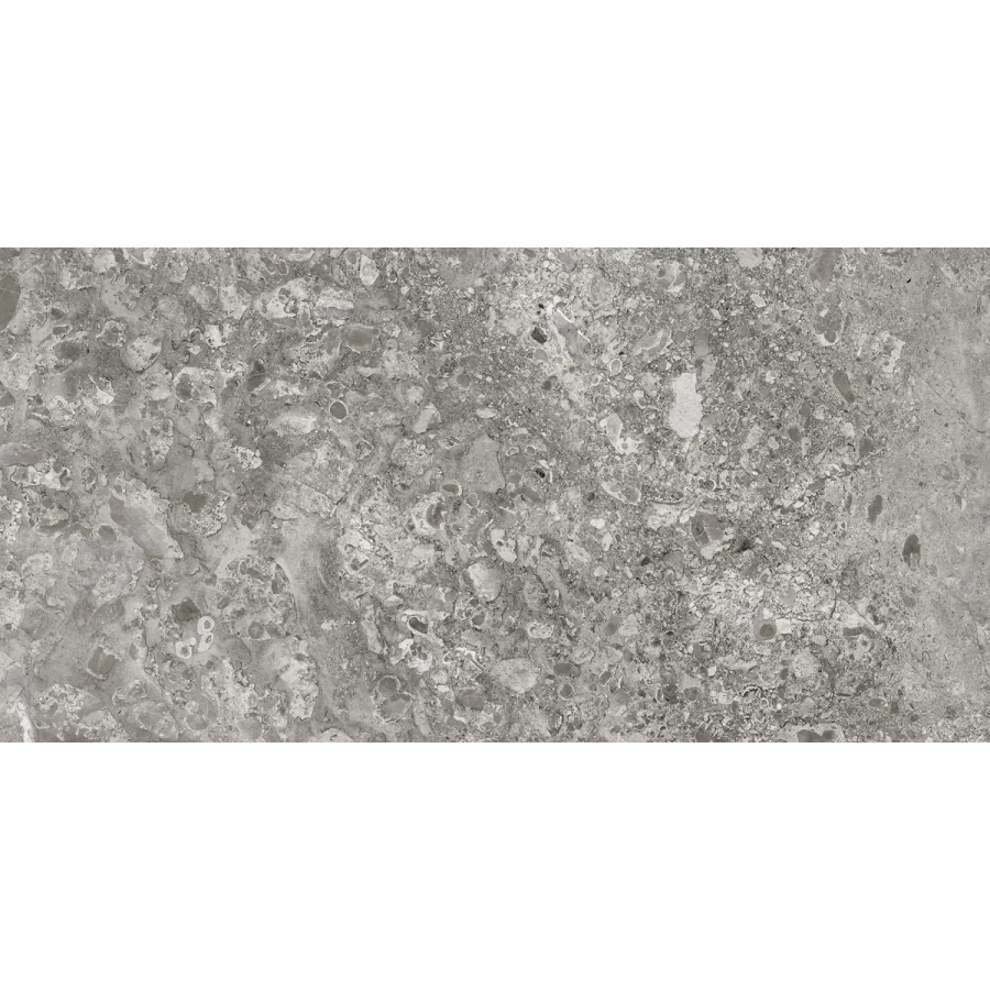 Керамогранит Idalgo Граните Лунар Серый матовый ID9099b054MR 120х60 см