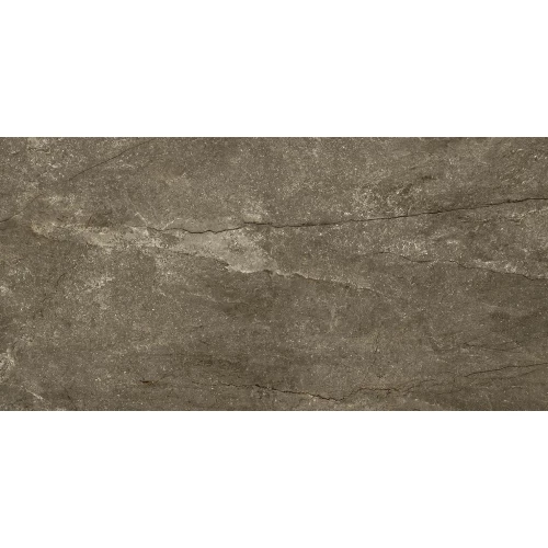 Керамогранит Pamesa Wells CR Moka Mate Rectificado матовый коричневый 017.869.0240.09871 120х60 см