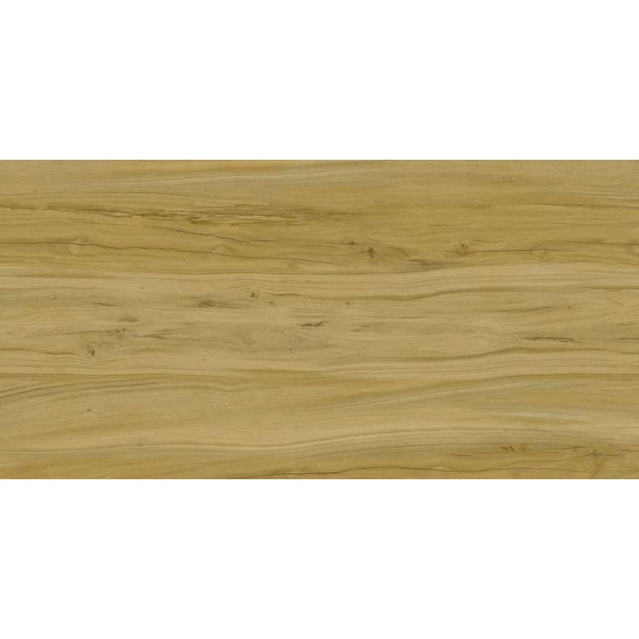 Керамогранит Kerranova Alleya структура коричневый К-2102/SR 120х60 см