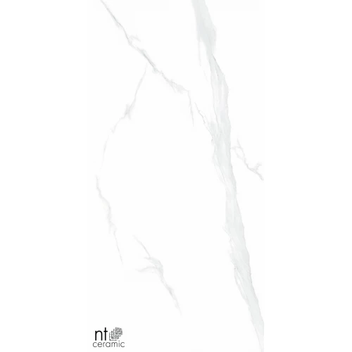 Керамогранит NT Ceramic Bright and Shiny Statuario Полированный NTT9106P 120х60 см