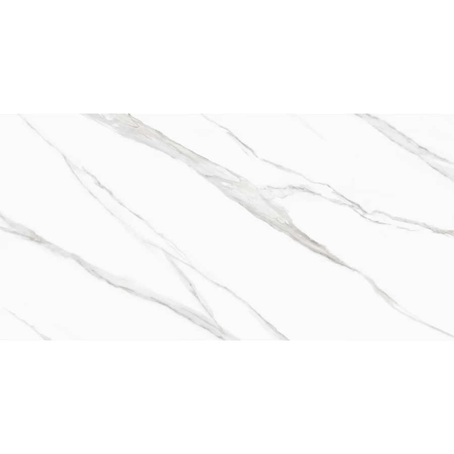 Керамогранит Delacora Life Calacatta матовый белый D120239M 120х60 см