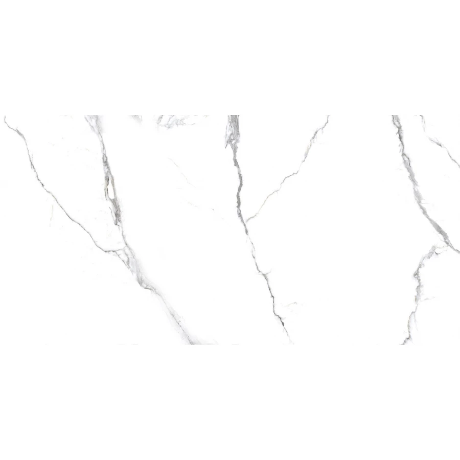 Керамогранит PrimaVera Acothly Polished 1,44 м2 PR234 120х60 см