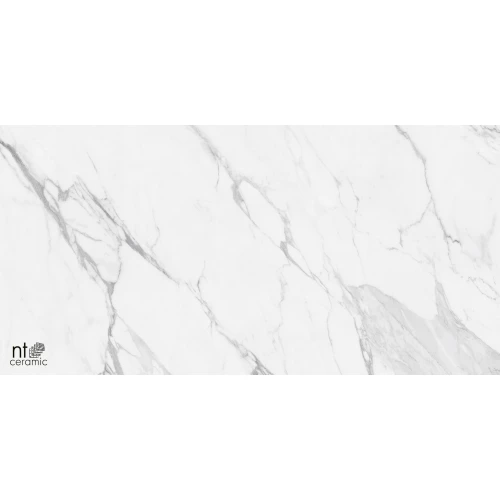 Керамогранит NT Ceramic Marmo Artic statuario Glossy Глянец NTT99528P 120х60 см