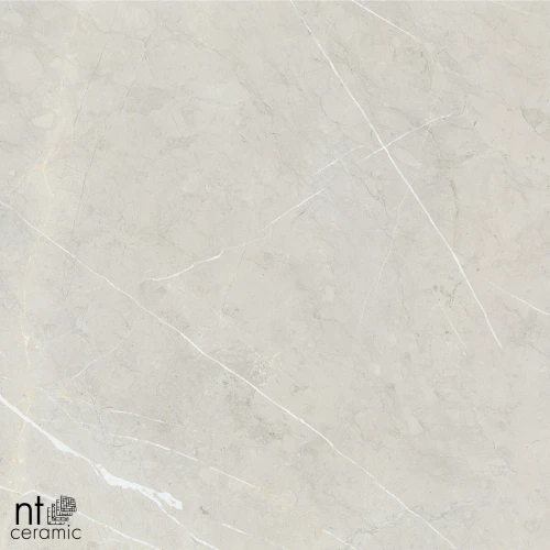 Керамогранит NT Ceramic Bright and Shiny NTT9101 Полированный BB6NTT9101P 60х60 см