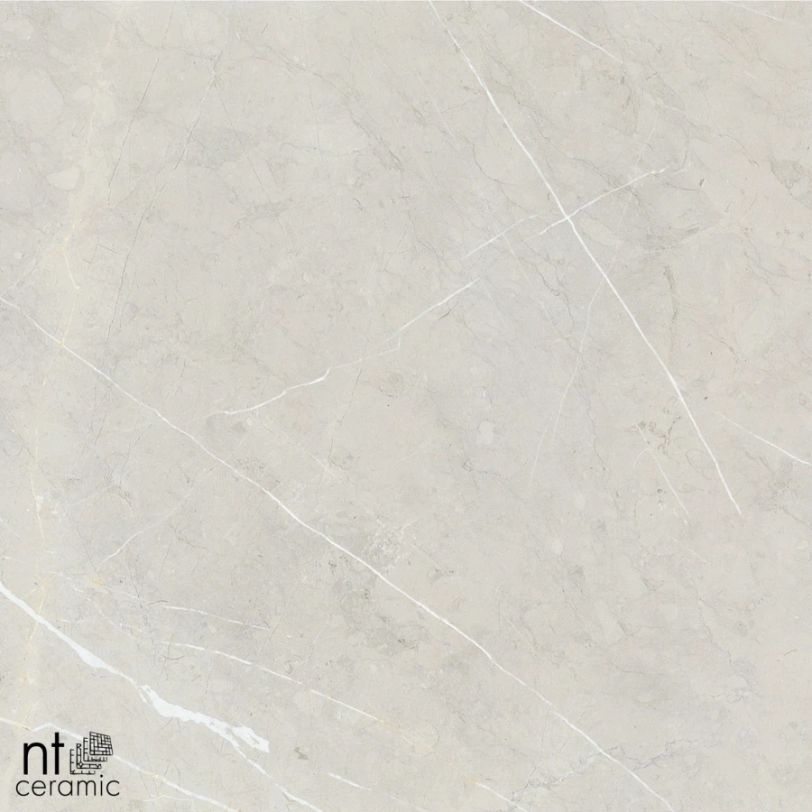 Керамогранит NT Ceramic Bright and Shiny NTT9101 Полированный BB6NTT9101P 60х60 см