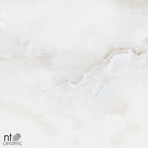 Керамогранит NT Ceramic Onyx Majestic Полированный NTT995030P 60х60 см