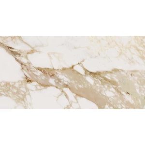 Керамогранит Ocean Ceramic India Loyal OC0000093 120х60 см