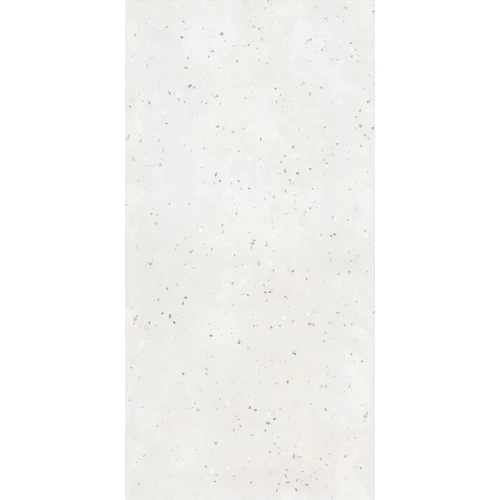 Керамогранит ProGRES Bianco Terrazzo матовый белый PRO 0273M 120х60 см