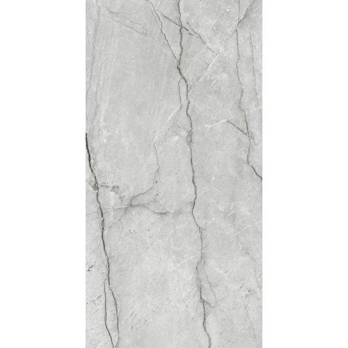 Керамогранит Arcadia Ceramica Condor Light Grey Carving светло-серый CR4013-A 120х60 см