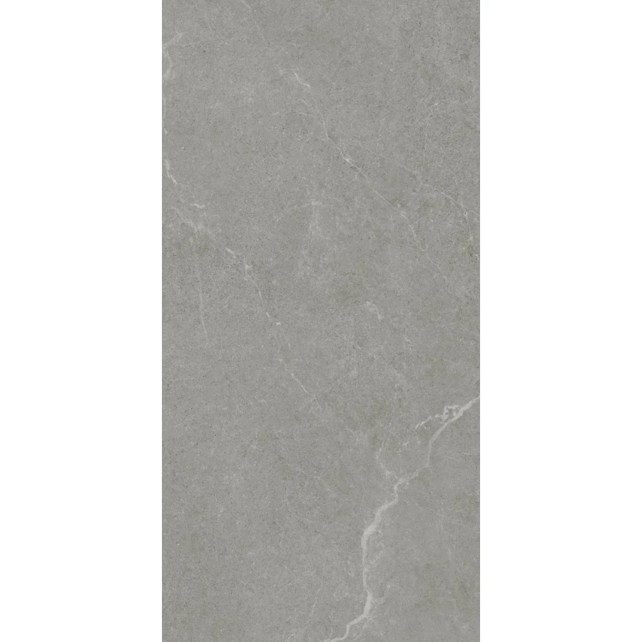 Керамогранит Realistik Ankara Semi Polished Matt серый JN12905F 120x60 см