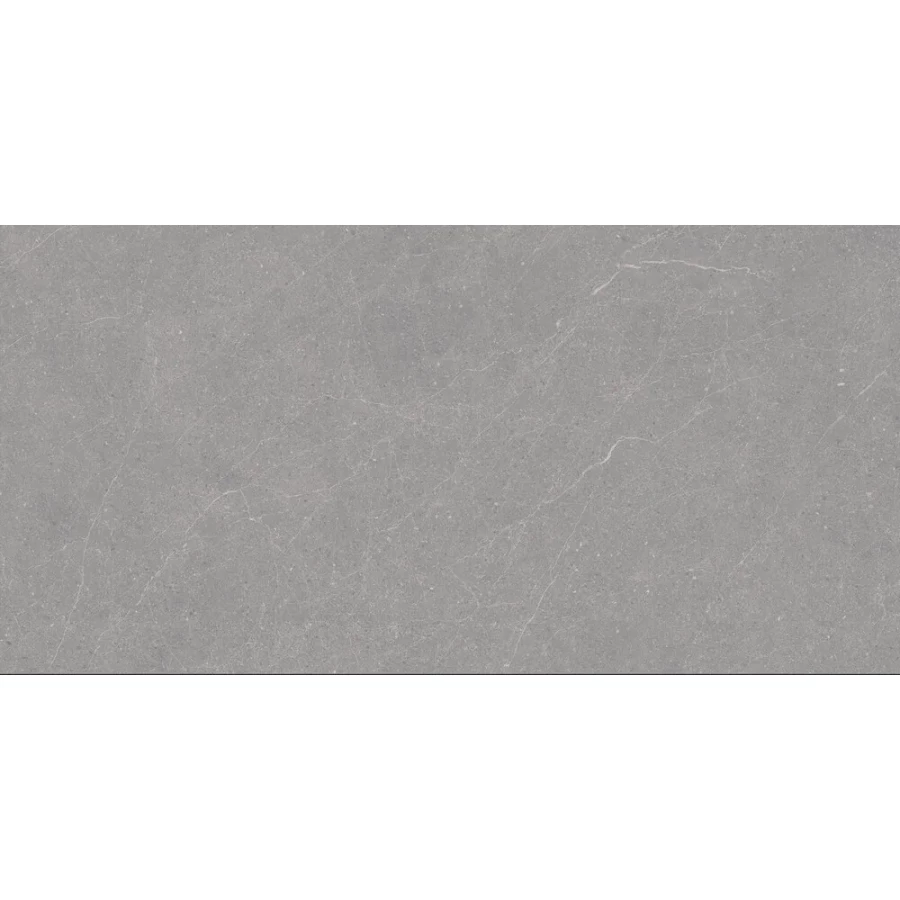 Керамогранит Duna Elenta Grey Carving темно-серый RP-238579 120х60 см