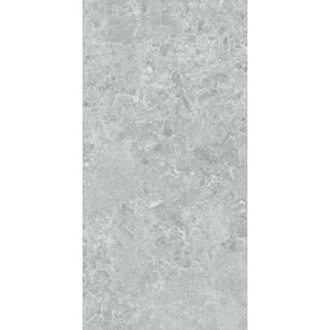 Керамогранит Stn ceramica Charisma P E 3DB grey mt rect 120х60 см