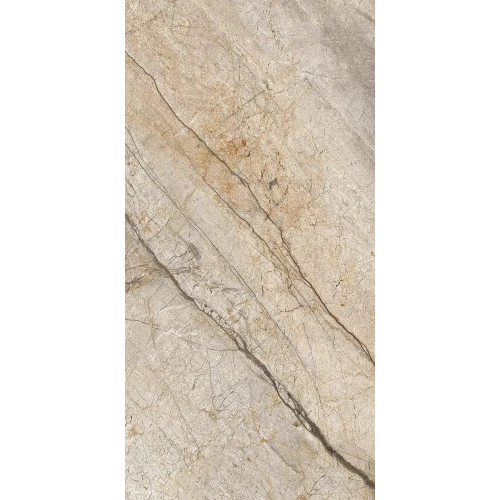 Керамогранит Imola Ceramica The Room матовый серо-коричневый SAN PE6 12 RM 120х60 см