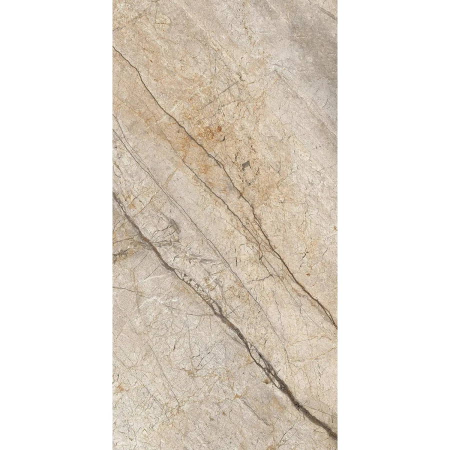 Керамогранит Imola Ceramica The Room матовый серо-коричневый SAN PE6 12 RM 120х60 см