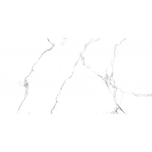 Керамогранит PrimaVera Acothly Polished 1,44 м2 PR234 120х60 см