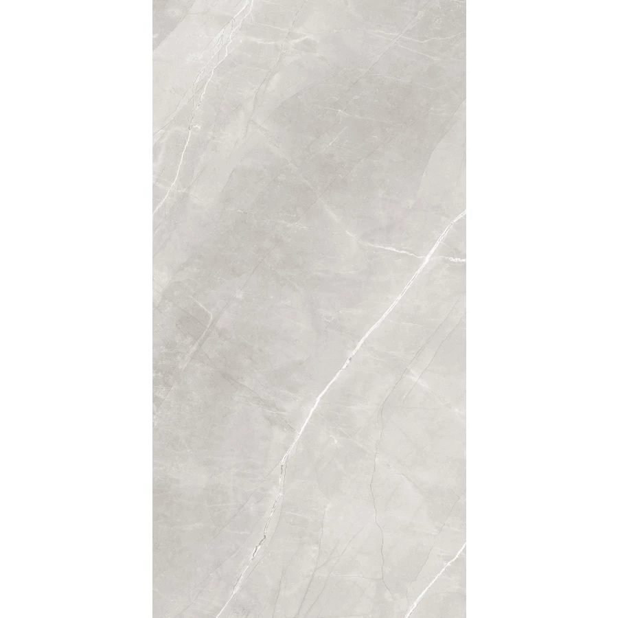 Керамогранит Arcadia Ceramica Armani Silver Matt матовый серый RT7013-A 120х60 см