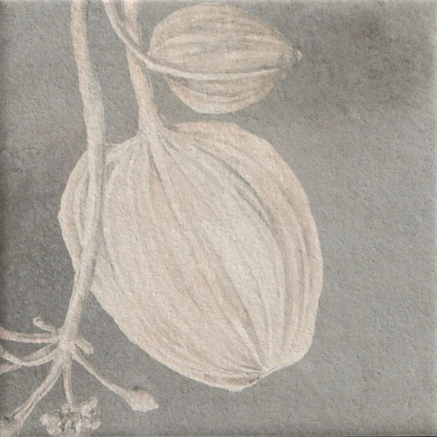 Керамогранит Mainzu Soft Kamelia Grey 15х15 см