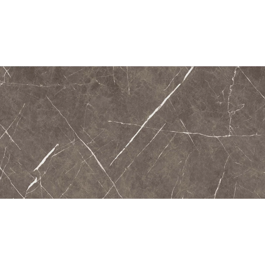 Керамогранит Ocean Ceramic Iran Apana Brown матовый IRN000003 120х60 см