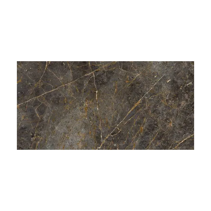 Керамогранит Lafaenza Aesthetica AE GOL6 12 RM матовый коричневый 120х60 см