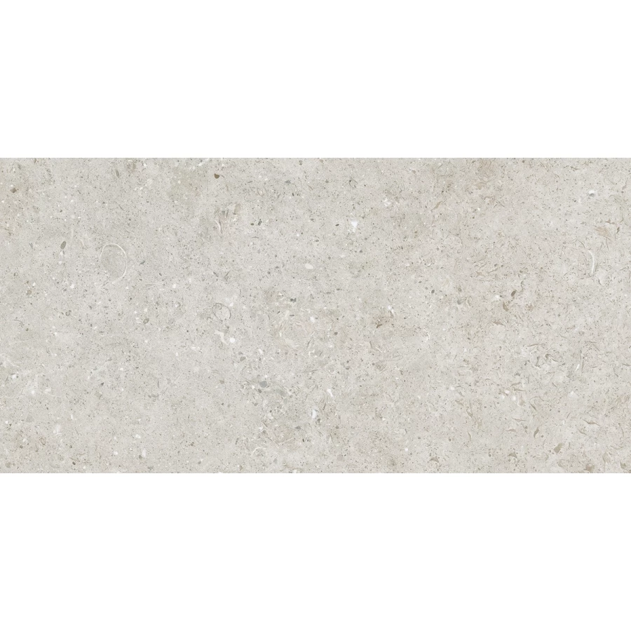 Керамогранит Living Ceramics Bera&Beren Light Grey Honed глянцевый серый LV10413 120х60 см