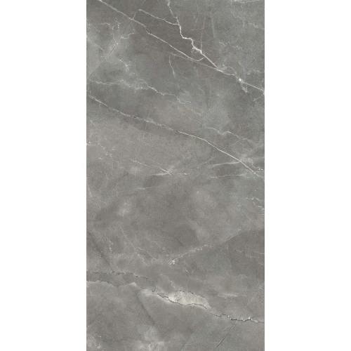 Керамогранит Arcadia Ceramica Pulpis Nero Carving серый CR4002-A 120х60 см