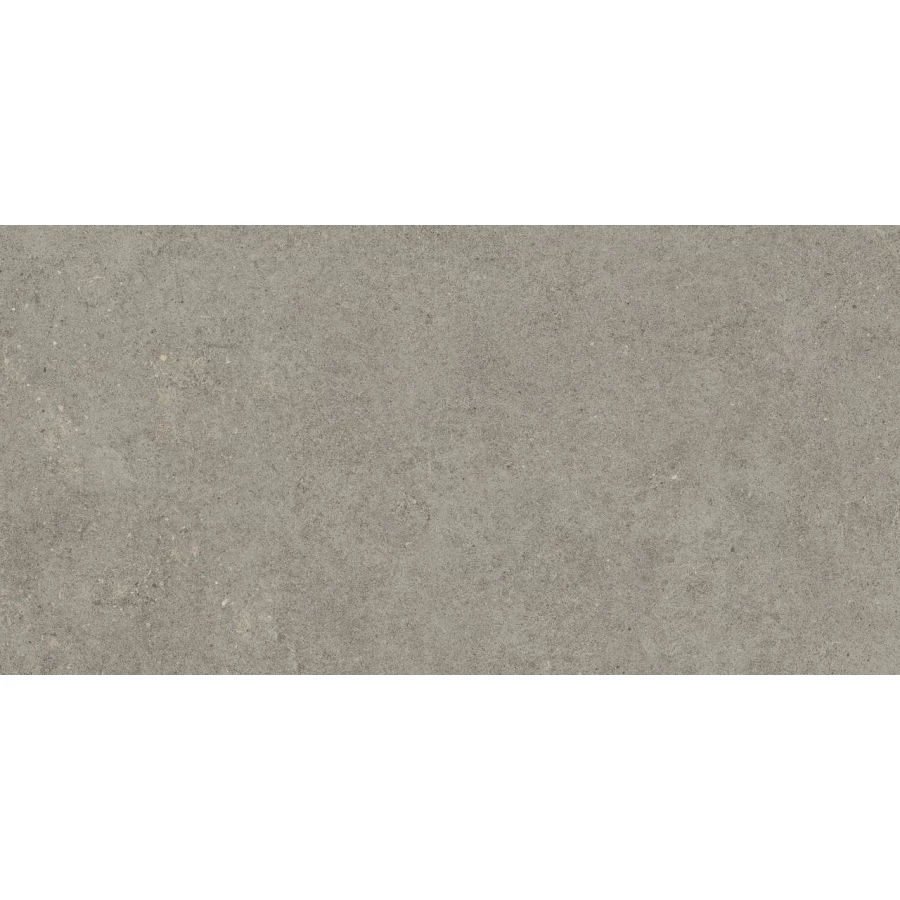 Керамогранит Atlas Concorde Forte dei Marmi Rock Lunar Grey Matt Rett матовый серый 610010005821 120х60 см